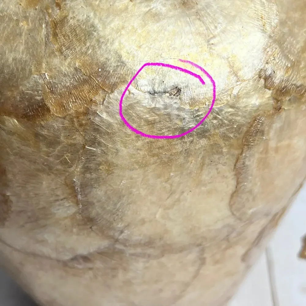 Unmarked gold capiz